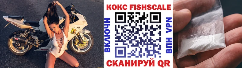 COCAIN Fish Scale  купить  сайты  Дивногорск 