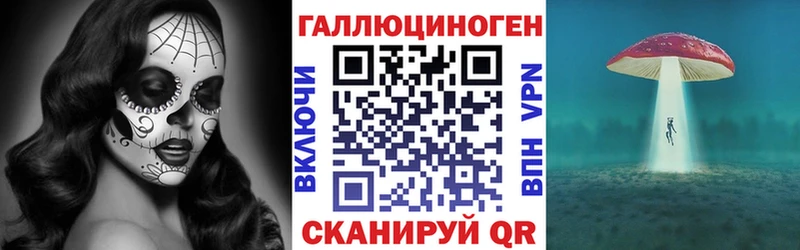 где купить   Дивногорск  Псилоцибиновые грибы Cubensis 