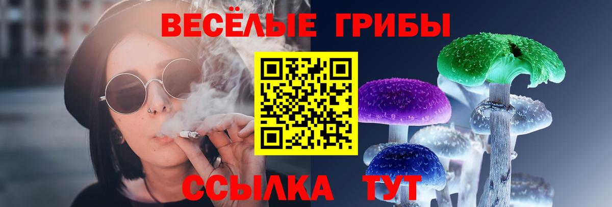 Галлюциногенные грибы GOLDEN TEACHER Дивногорск