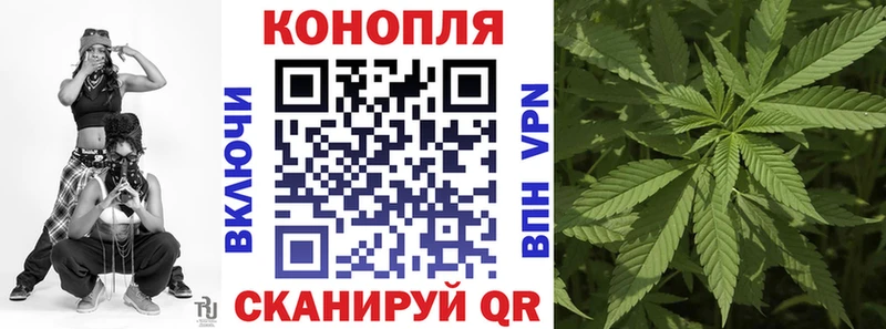 купить  цена  Дивногорск  Шишки марихуана OG Kush 